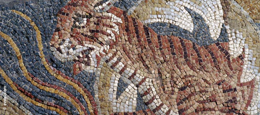 Particolare di un mosaico della Villa Romana del Tellaro